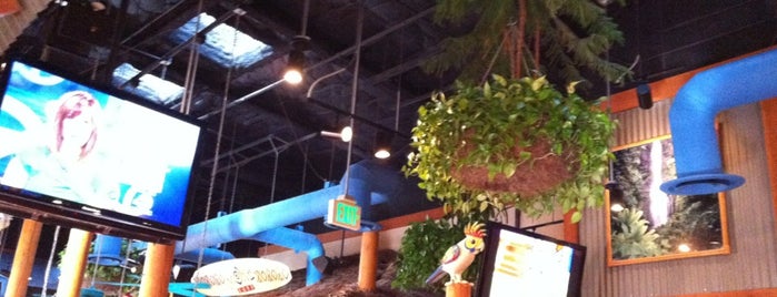Islands Restaurant is one of Pasadena Hangouts.
