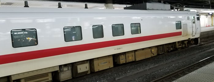 Platforms 2-3-4 is one of ふぇいばりっと おぶ さなぶう.