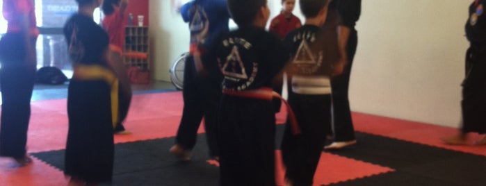 Elite Martial Arts Academy is one of My Places I Frequent.