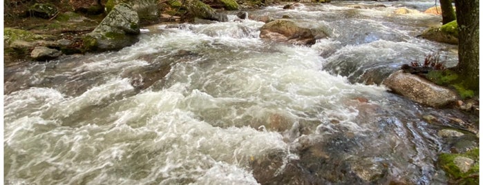 La Pedriza is one of Sierra de Madrid.