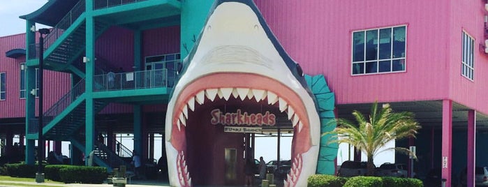 Sharkheads is one of Biloxi Beach Vacation.