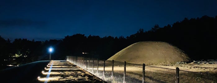 백제왕릉원 is one of 고분 古墳 Korean Acient Tombs.