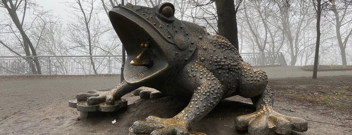 Бронзова жаба-скарбничка is one of Киев.