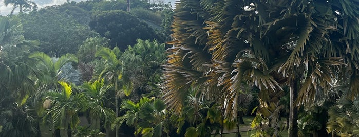 Jardin de l’Habitation Clément is one of Martinique 2021.