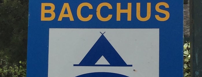 Camping Bacchus is one of Attica South.