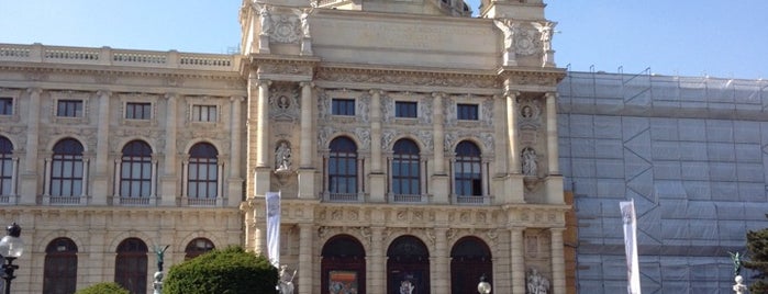 Museum of Art History is one of Things to see in Vienna.