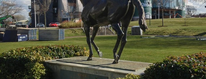 Aintree Racecourse is one of Lieux qui ont plu à Henry.