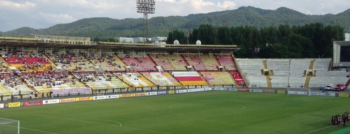 Стадион «Спартак» is one of 2005.