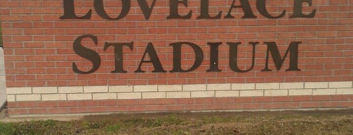 Lovelace Stadium is one of Divide and conquer.