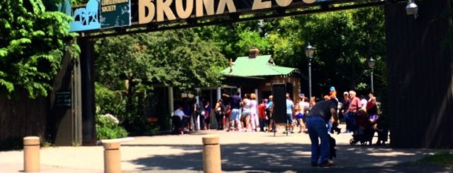Bronx Zoo is one of NY Special.