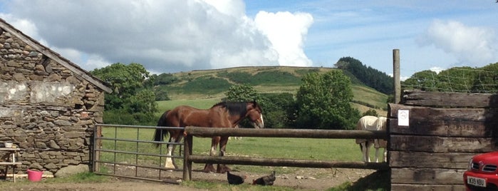 Cumbrian Heavy Horses is one of Places to visit around the UK**.