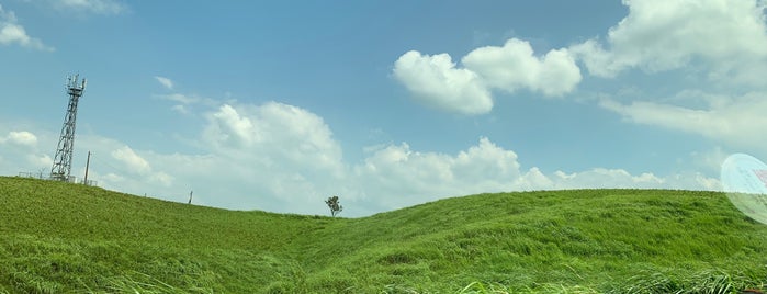 Aso is one of 九州沖縄の市区町村.