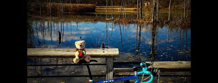 Beaver Marsh Boardwalk View is one of Orte, die Wendy gefallen.