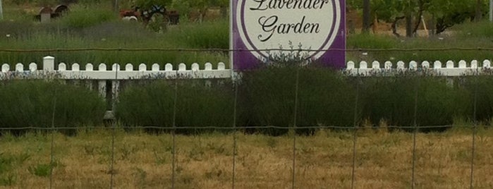 Lavender Garden is one of oregon.