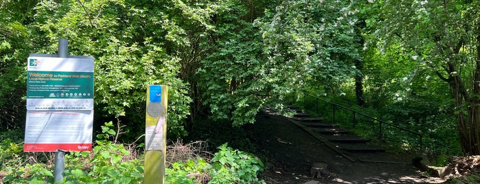 Parkland Walk (Crouch End to Highgate section) is one of More....