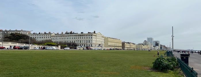 Hove Lawns is one of Brighton.