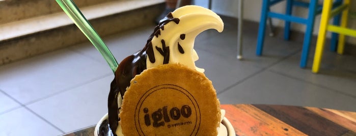 Igloo Yogurt Bar is one of israel.