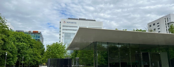 Novartis Campus is one of Work Offices.