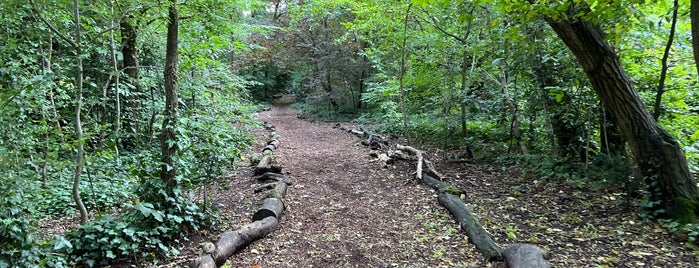 Queen's Wood is one of London 2017.
