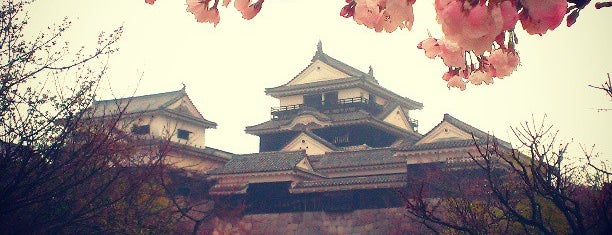 Matsuyama Castle is one of Travel : Sakura Spot.