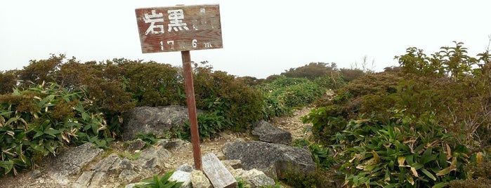 岩黒山 is one of 四国の山.