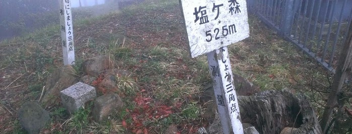 塩ヶ森 山頂 is one of 四国の山.