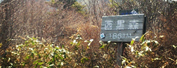 西黒森 is one of 四国の山.
