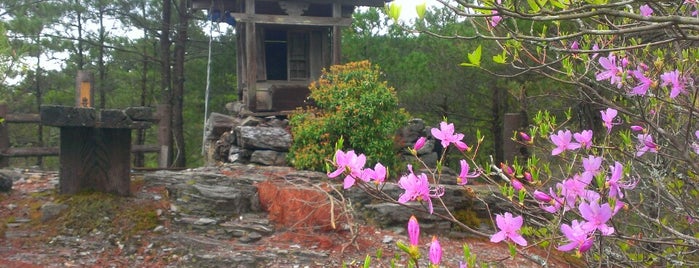 総津 権現山 山頂（豊峰神社） is one of 四国の山.