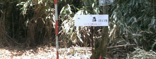 明神ヶ森 is one of 四国の山.