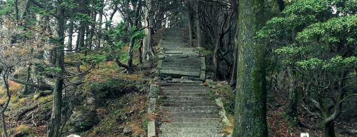 篠山 山頂 is one of 四国の山.