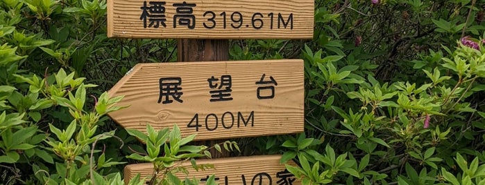 冨士山 is one of 四国の山.