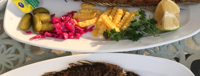 Ghasre Mahi Restaurant | رستوران قصر ماهی is one of Orte, die Saeed gefallen.