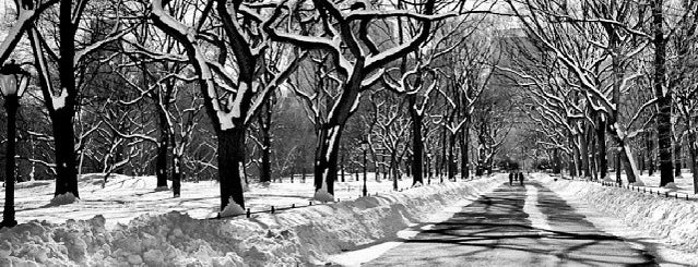 Snowpocalypse NYC 2014 is one of Tempat yang Disukai Maria.
