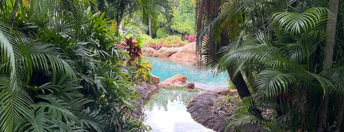 Discovery Cove is one of Americas.
