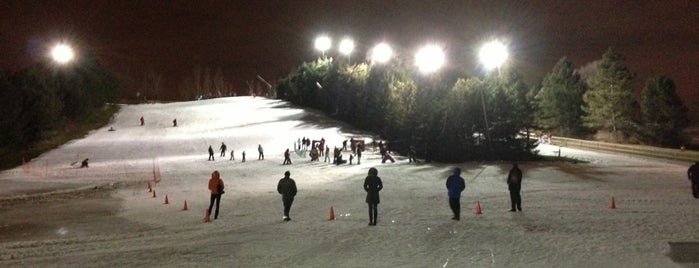 Centennial Park Ski Area is one of Things to Do in Toronto.