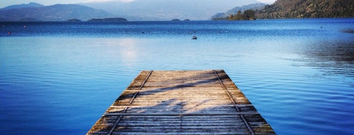 Lago Calafquén is one of Posti che sono piaciuti a Carlos.