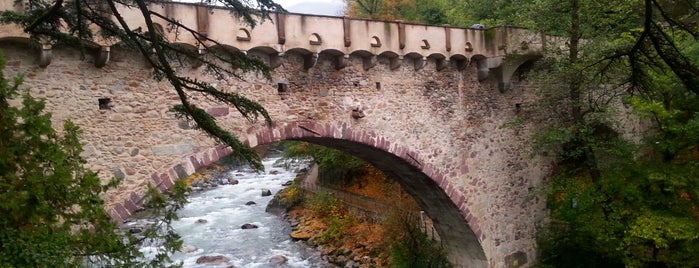 Steinerner Steg / Ponte Romano is one of Cool Swim Meeting.