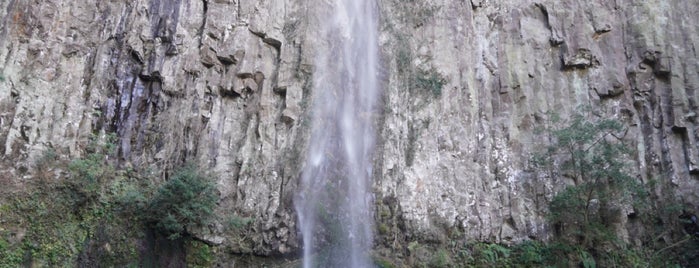 東椎屋の滝 is one of 滝.