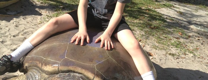 Gumbo Limbo Nature Center is one of Orlando.