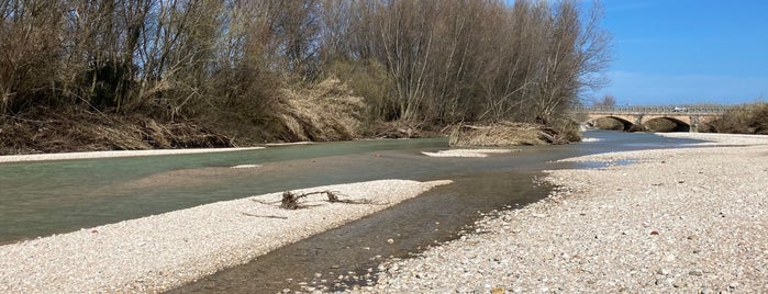 Foce del fiume Cesano is one of Valle del Cesano.