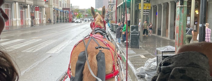 French Quarter Horse Carriage Ride is one of New Orleans.