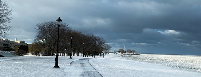 Lakefront Trail is one of Martyさんのお気に入りスポット.