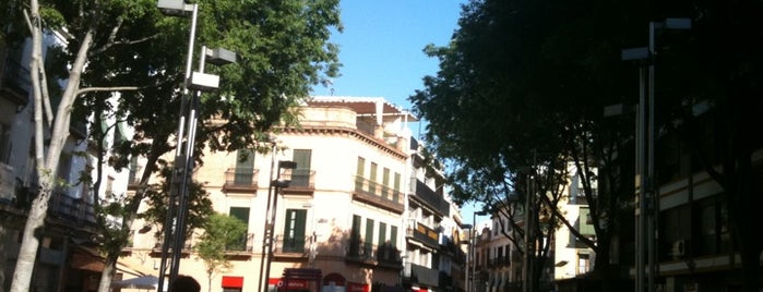 Plaza de la Alfalfa is one of Pasa por aquí!.