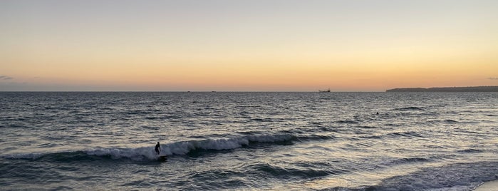 204's Surf Spot is one of san clemente.