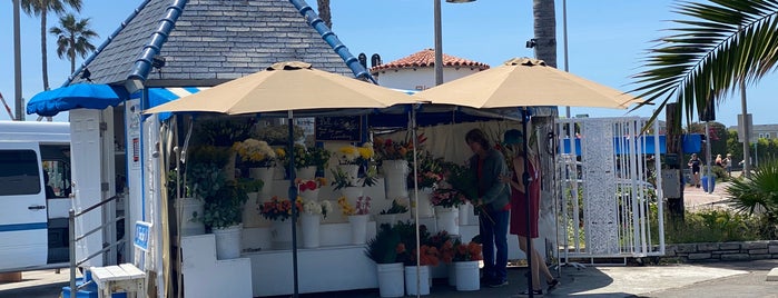Flowers & friends is one of san clemente.