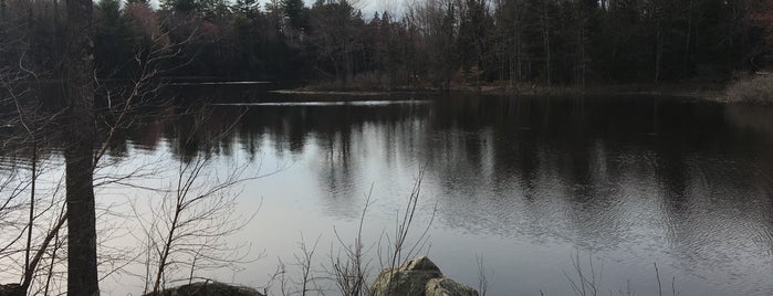 Runaround Pond is one of Favorite Great Outdoors.