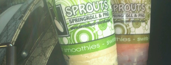 Sprouts Springrolls & Pho is one of DFW!.