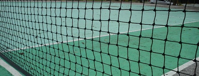 Poseidon Palace tennis court is one of Sports.