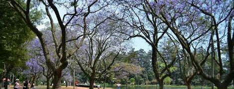 Parque Ibirapuera is one of Tempat yang Disukai Fernando.