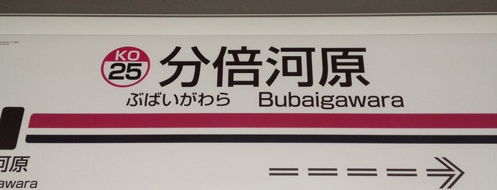 Bubaigawara Station is one of JR 미나미간토지방역 (JR 南関東地方の駅).